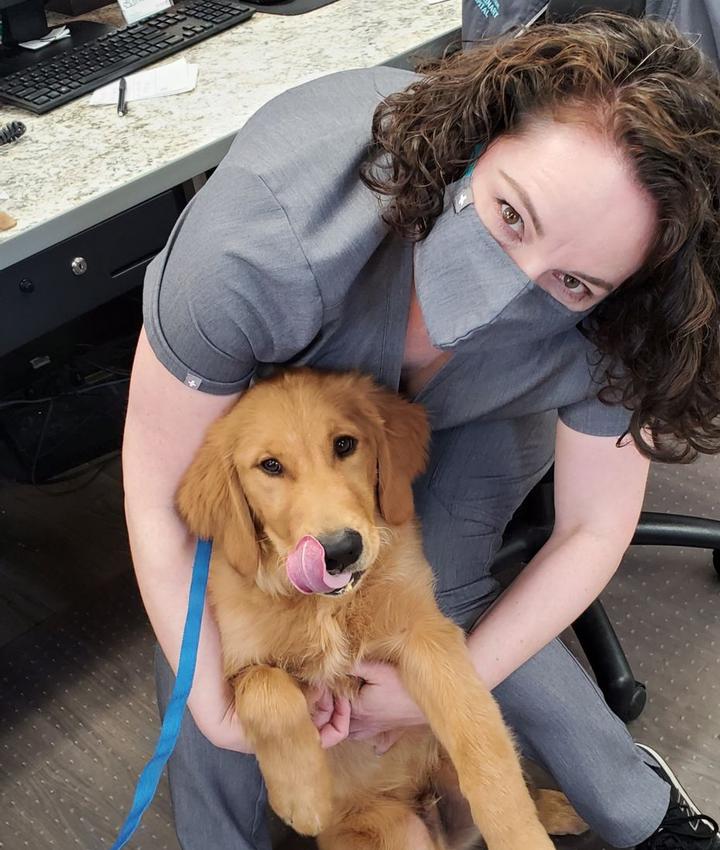 Veterinarians in Columbus Experienced Dog + Cat Veterinarians